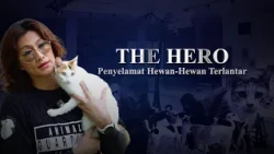 Perjuangan Davina Veronica untuk Satwa Indonesia | The Hero