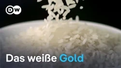 Wem gehört Basmati? EU vor schwieriger Entscheidung