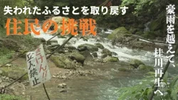 [Seiyo City, Nomura Town] Katsuragawa Valley: The Untouched Retreat Striving for Recovery