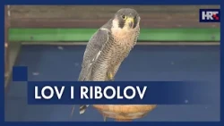 Međunarodni sajam lova i ribolova u Varaždinu