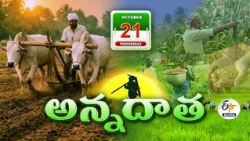 అన్నదాత | 21st October 2026 | Annadata | Full Bulletin | ETV Telangana