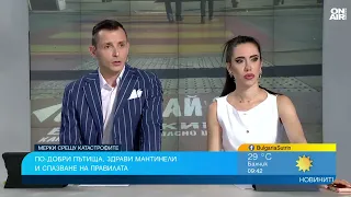 Срещу катастрофите: Психотестове, бетонови мантинели и 3 активни летни в посока по магистралите ни