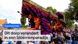 This was the flower parade of Sint Jansklooster | RTV Oost