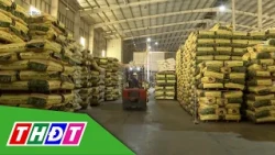 Many fragrant rice varieties priced over 7,000 VND/kg | THDT