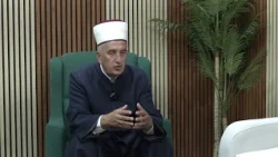 Naši dani - Zijad ef. Vehabovic