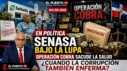 When corruption also makes you sick: The SENASA case and Operation Cobra