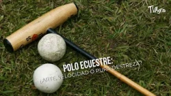 Equestrian polo: Art, speed, or pure skill? - TvAgro by Juan Gonzalo Angel