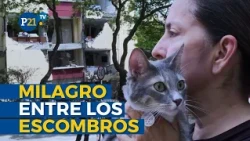 MIRACLE AFTER COLOMBIA EARTHQUAKE: Polux, a cat trapped in the rubble, is rescued alive