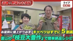 Vegetable Prices Set to Rise Before Obon: Cabbage Already Up 50%, Plus Easy Gourmet Recipes Using...