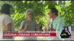 GreenFeel and the RegioEarth Summer School in Timișoara #RegionalNews @TVRTM
