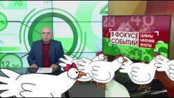 09/04/2026 Focus on Events: REGISTERING YOUR CHICKENS