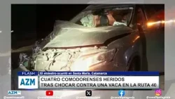 Four people from Comodoro Rivadavia injured after hitting a cow on Route 40