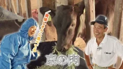 JA Kyoto "Kyo no Niku" Yasushi Shinagawa (Miyazu City) | KBS Kyoto TV "Agri Kyoto" Broadcast Augu...