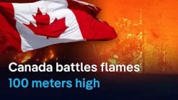 British Columbia struggles to reign in its wildfires | DW News