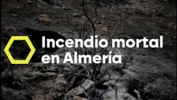 El incendio en Los Gallardos entra en una nueva fase tras poder "atacar" el fuego - laSexta Noticias