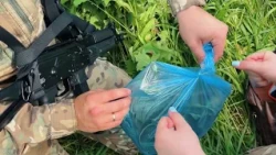 In Primorye, police summarize the results of Operation "Poppy"
