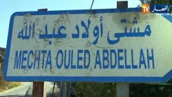 جيجل: حقول التيزانة تتحول إلى رماد.. إبراهيم لابيض يروي حجم الخسائر