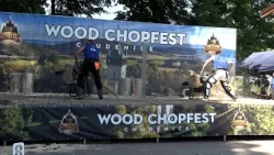 Wood ChopFest Chudenice