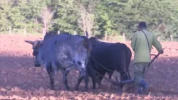 Ya está vigente nueva Ley de tierras