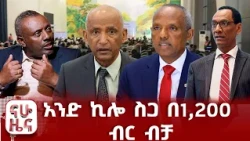 በምክክር ሂደቱ ትኩረት ያላገኙ ጉዳዮች!!