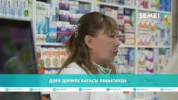 ДӘРІ ДӘРМЕК БАҒАСЫ БАҚЫЛАУДА