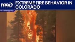 Extreme fire behavior in Colorado | West Coast Wrap