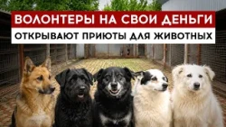 Volunteers open animal shelters with their own money