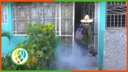 Intensive Efforts in Pinar del Río to Eliminate Aedes Breeding Sites