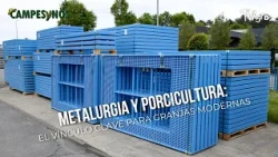 Metallurgy and Pig Farming: The Key Link for Modern Farms - TvAgro by Juan Gonzalo Angel