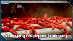[SMARTBIZ ACCELERATORS] Bringing about smart... , Yeongyang red pepper trade corp. (영양고추유통공사)