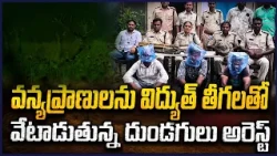 Poachers Arrested in Khammam for Hunting Wildlife Using Electric Wires | V6 News