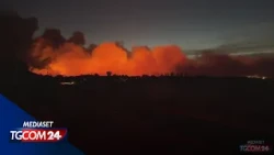 Francia, a fuoco la foresta di Fontainebleau: bruciati 800 ettari