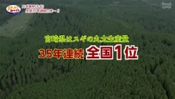 [Get to Know Miyazaki] The Charm of the Forest in a Drop! - "SUGI" Aroma Oil - (Aired July 26, 2026)