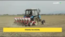 Планы на осень