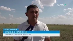 МАЛ АЗЫҒЫ МОЛЫНАН ЖИНАЛУДА