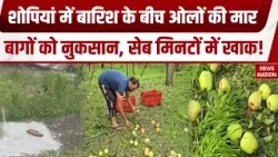 Shopian Hailstorm: शोपियां-कुलगाम में ओलावृष्टि से Apple की फसल बर्बाद, किसानों को करोड़ों का नुकसान