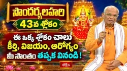 సౌందర్యలహరి | 43వ శ్లోకం | ఈ ఒక్క శ్లోకం చాలు కీర్తి, విజయం, ఆరోగ్యం మీ సొంతం తప్పక వినండి!