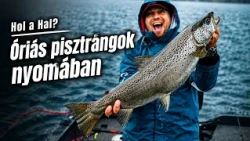 Hol a Hal? Norvégia: Óriás pisztrángok nyomában