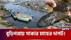বুড়িগঙ্গা দখলে সাকার মাছ! হু'মকিতে দেশীয় মাছ ও জীববৈচিত্র্য | Suckermouth Catfish | Buriganga River