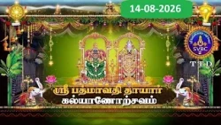 Sri Padmavathi Ammavari || Kalyanotsavam || Tiruchanoor || 14-08-2026 || SVBC2 Tamil || SVBC TTD