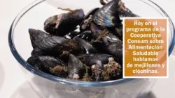 CONSUM – Healthy Eating | Mussels and Mediterranean mussels