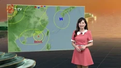 07/24 19:00 Mountain and Sea Weather Forecast | Daily News Highlights | Indigenous Peoples Televi...