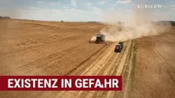 High costs, shrinking yields: Farmers fighting for survival