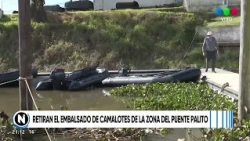 Removal of Water Hyacinth Mats from the Puente Palito Area