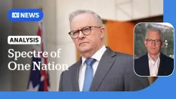 Labor's cost-of-living focus aims to blunt One Nation's populist message: Speers | ABC NEWS