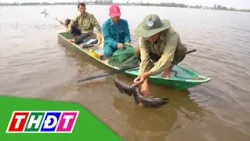 Dismantling Numerous Bird Traps Near Gao Giong Cajeput Forest | THDT