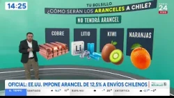 Chilean products that will be subject to a 12.5% tariff in the United States