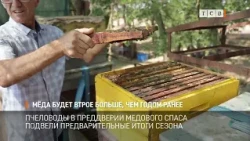 Bees in the Heat