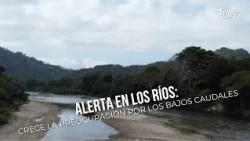 River Alert: Growing Concern Over Low Water Levels - TvAgro by Juan Gonzalo Angel