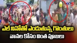 Depleted Projects and Dried-Up Groundwater: El Nino Impact On Kurnool - Prayers For Rain | TV5